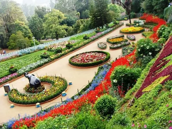 Dehradun to Chandigarh Taxi
