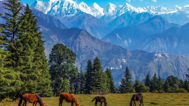 Dehradun to Pithoragarh Taxi